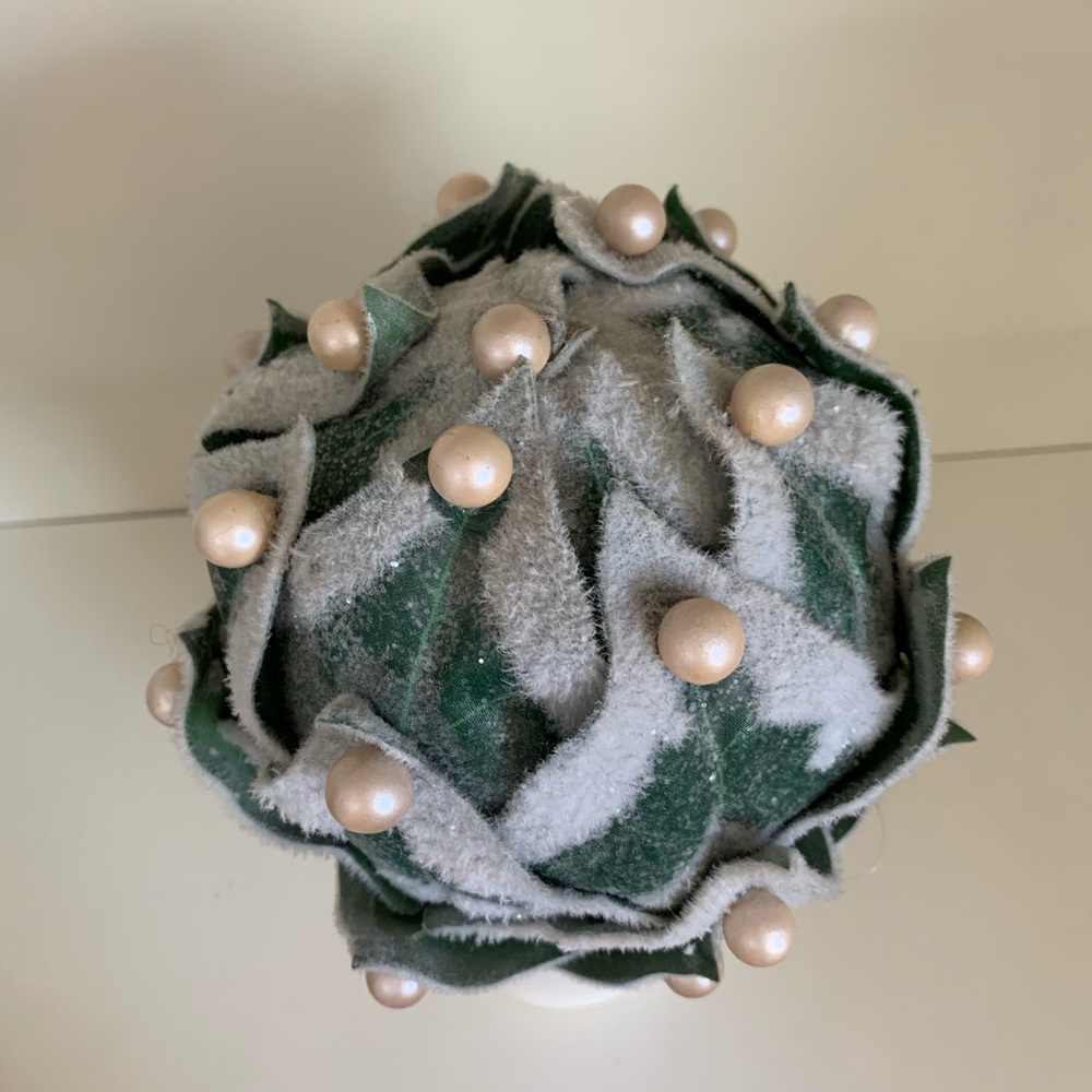 Pearl frosted fuzzy plant - Picture 5 of 8